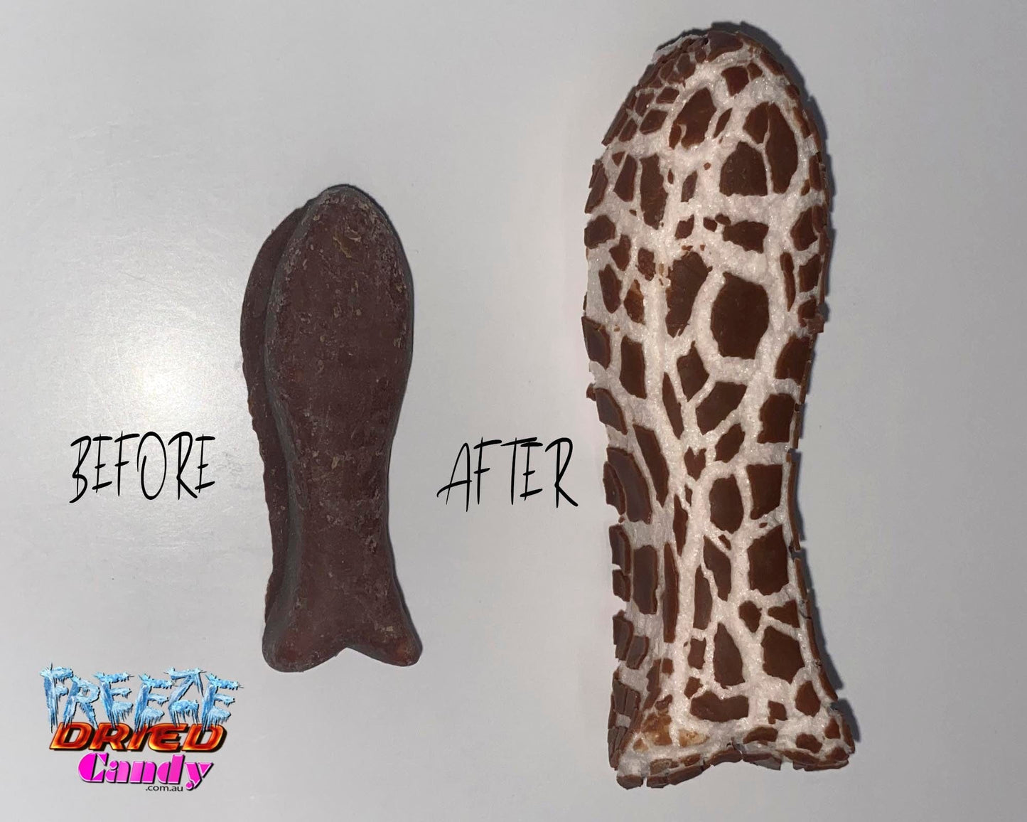 Freeze Dried Chocolate Fish NZ - Freeze Dried Candy Lollies Sweets Treats & Ice Creams