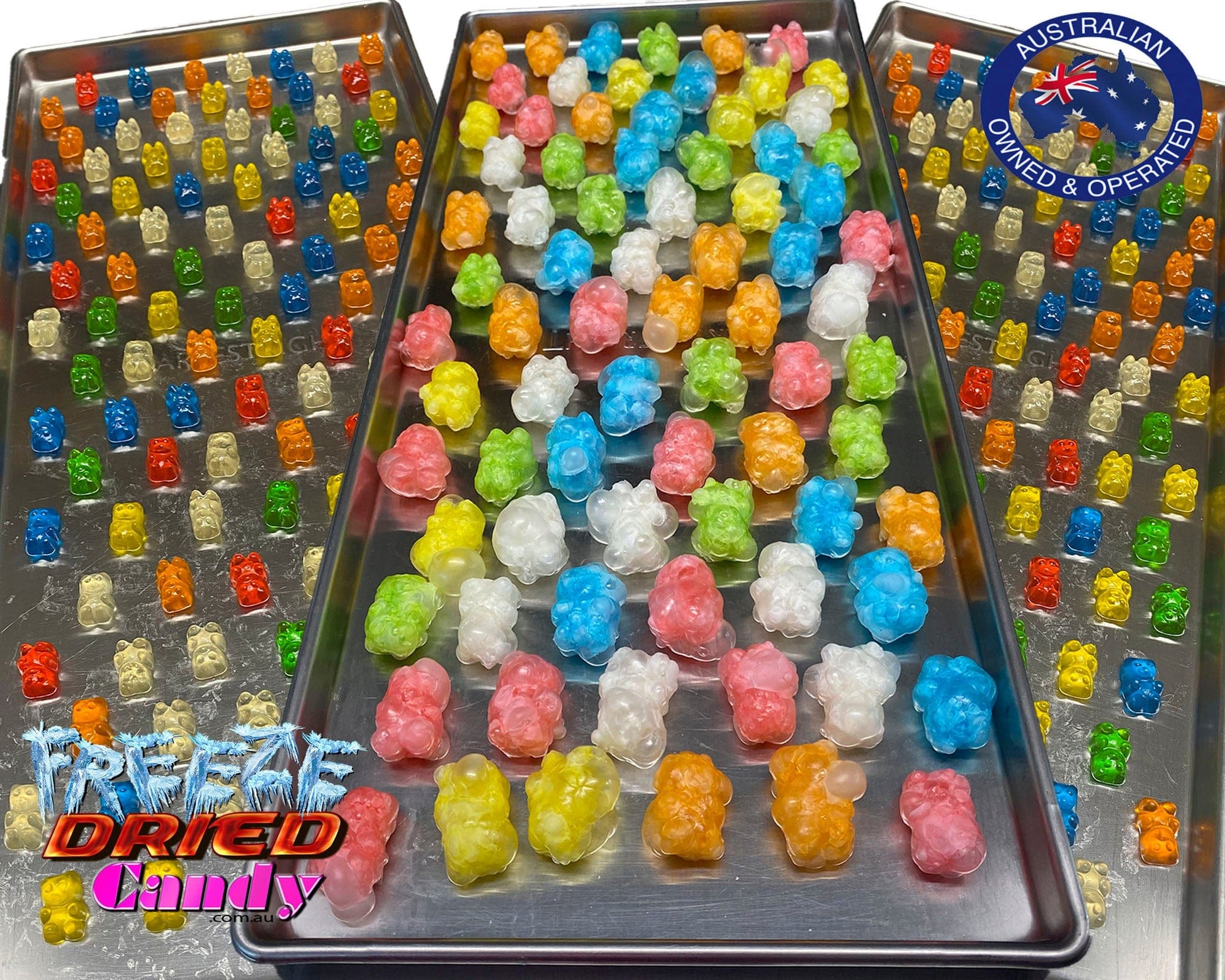 Freeze Dried Gummi Bears - A Burst of Assorted Flavors in Every Bite