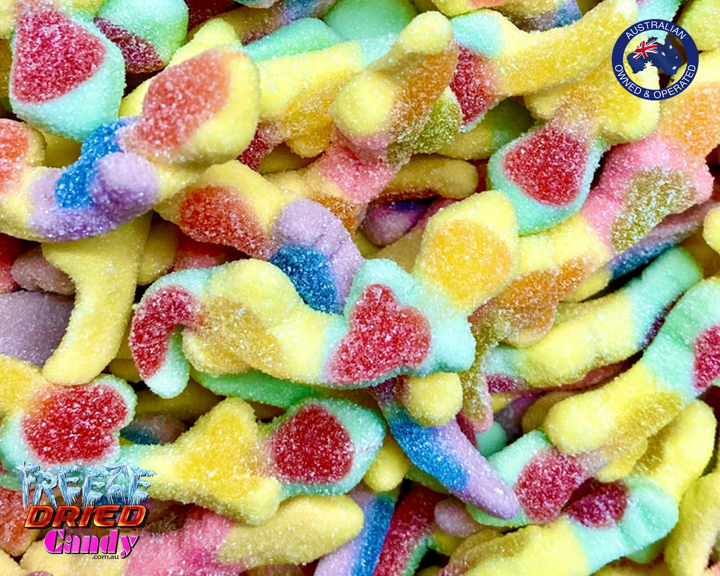 Freeze Dried Sour Lizards | Freeze Dried Candy Lollies Sweets Ice Cream Treats