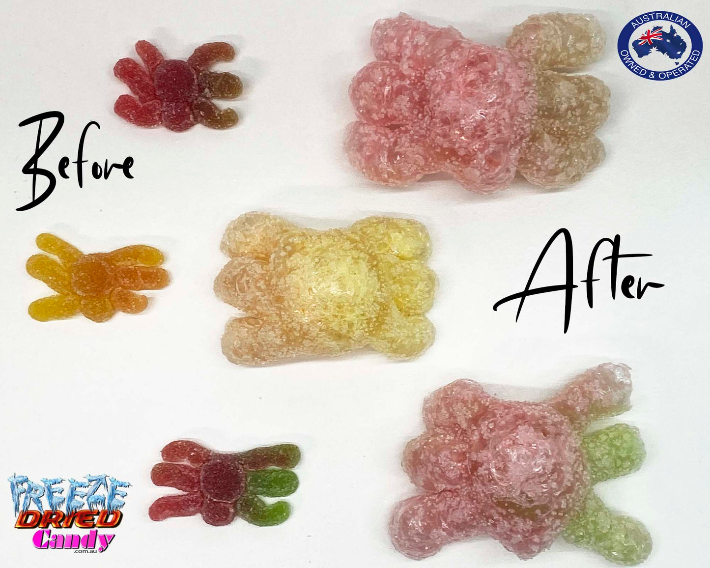 Freeze Dried Gummi Hairy Spiders - Sour Sour Gummi Hairy Spider all puffed up, oh so crunchy, and oh so Yummy. Deliciously fruity flavoured and brightly coloured, these gaint Freeze Dried Gummi Spiders are light, airy, fun and crispy, enjoy your favourite candy in a whole new way!. These scary Spiders are perfect for Halloween, themed events or simply as a enoyable snack