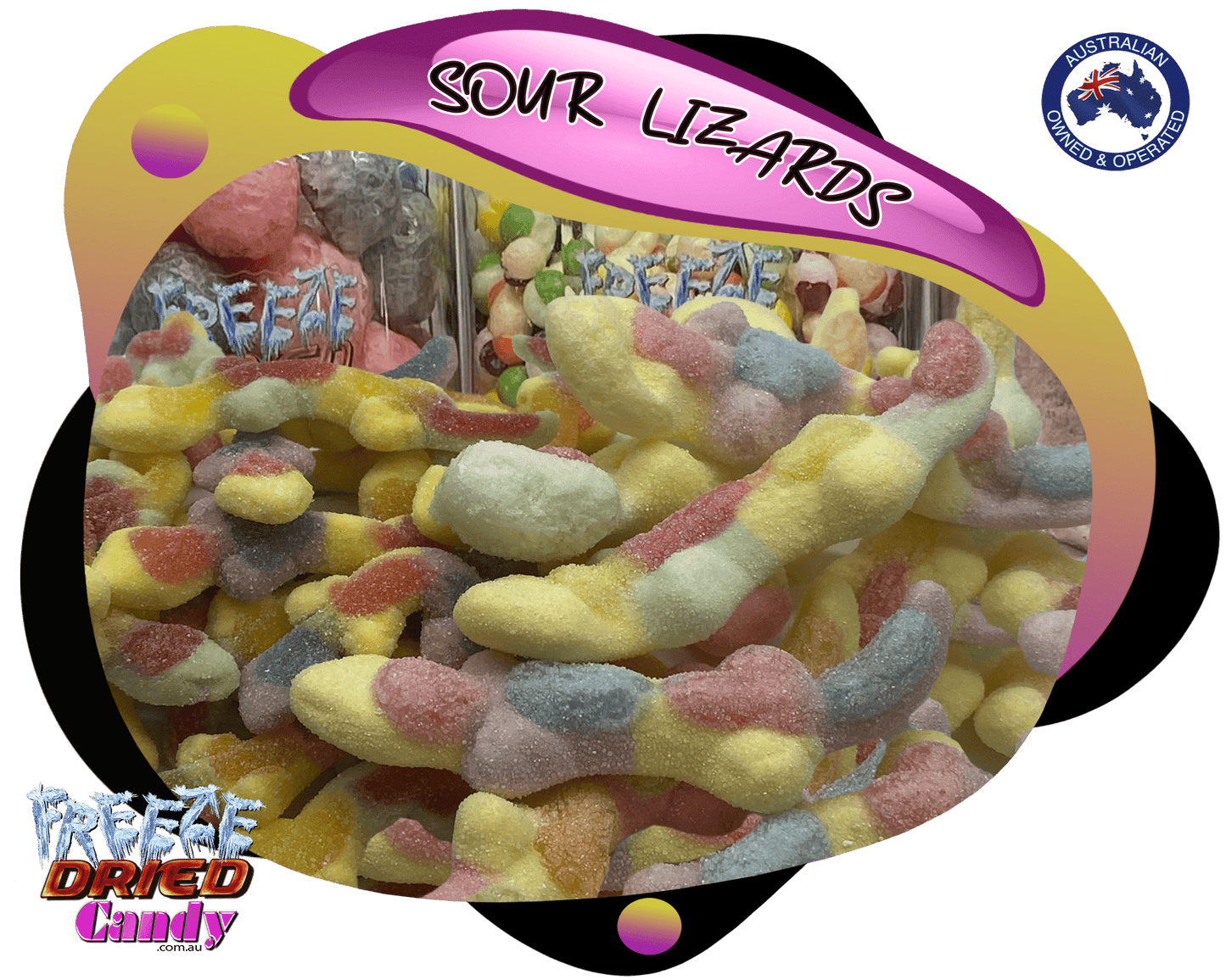 Freeze Dried Sour Lizards | Freeze Dried Candy Lollies Sweets Ice Cream Treats